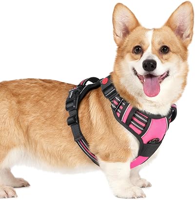 rabbitgoo Dog Harness Small Rose Pink Adjustable No Pull Front Back Clips