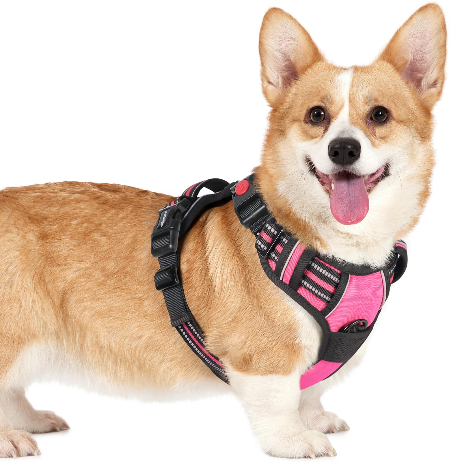 rabbitgoo Dog Harness Small Dog with Neck Release Buckle, Adjustable Soft Padded Puppy Pet Vest with Easy Control Handle, Reflective No Pull Dog Harness with Front Back Clips, Rose Pink, M