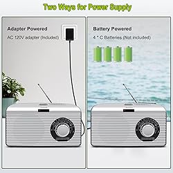 DreamSky Portable AM FM Radio with Sleep Timer