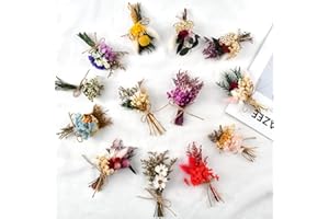 BASECA Dried Flowers - Mini Dried Flower Bouquet Wildflower Decor, Natural Flowers Forget Me Not Myosotis Sylvatica Babysbreath, Floral Plant Flower for Crafts DIY Photo Props Gift Décor 13 PCS