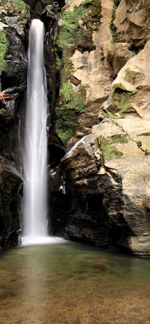 PeelitStickit, Beautiful Nature Wall Murals, ID-0747, vinyl