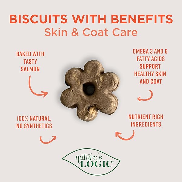 NATURE’S LOGIC BISCUITS WITH BENEFITS SKIN AND COAT, 12OZ