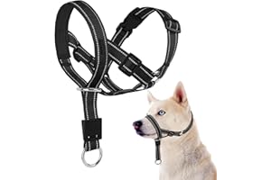 DOMIGLOW No-Pull Dog Headcollar - Reflective Halter Collar for Dogs, Padded Head Collar to Stop Heavy Pulling, Anti-Pull Muzzle Leash (Black, Large)