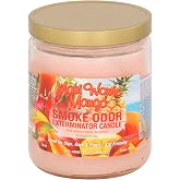 Smoke Odor Exterminator 13oz Jar Candle, Maui Wowie Mango