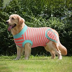 IDOMIK Dog Surgery Recovery Suit, Soft Comfortable