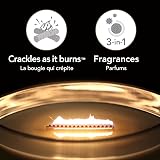 WoodWick Ellipse Trilogy Scented Candle Warm Woods Crackling Wick 50 Hr view 3