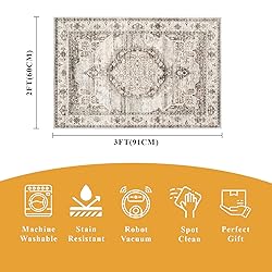 3x12 Long Hallway Runner Rugs : Machine Washable