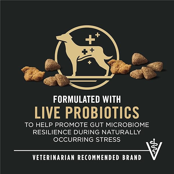 PURINA PRO PLAN COMPLETE ESSENTIALS SHREDDED BLEND CHICKEN AND RICE DOG FOOD DRY FORMULA WITH PROBIOTICS FOR DOGS – 5 LB.