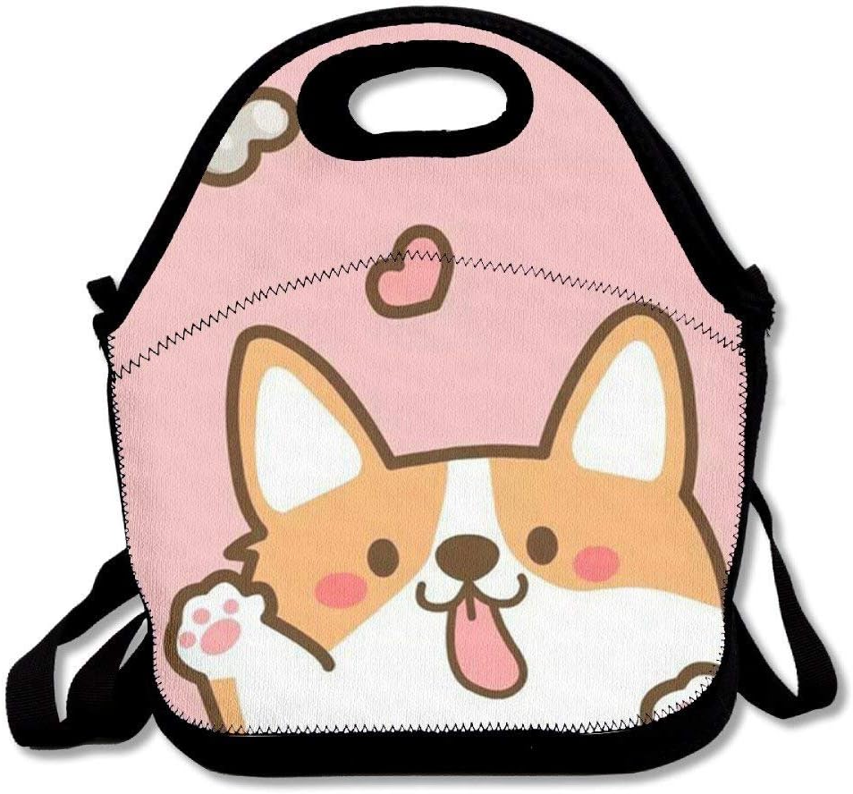 Insulated Lunch Bag Lunch Tote Bag Travel School Picnic Lunch Box