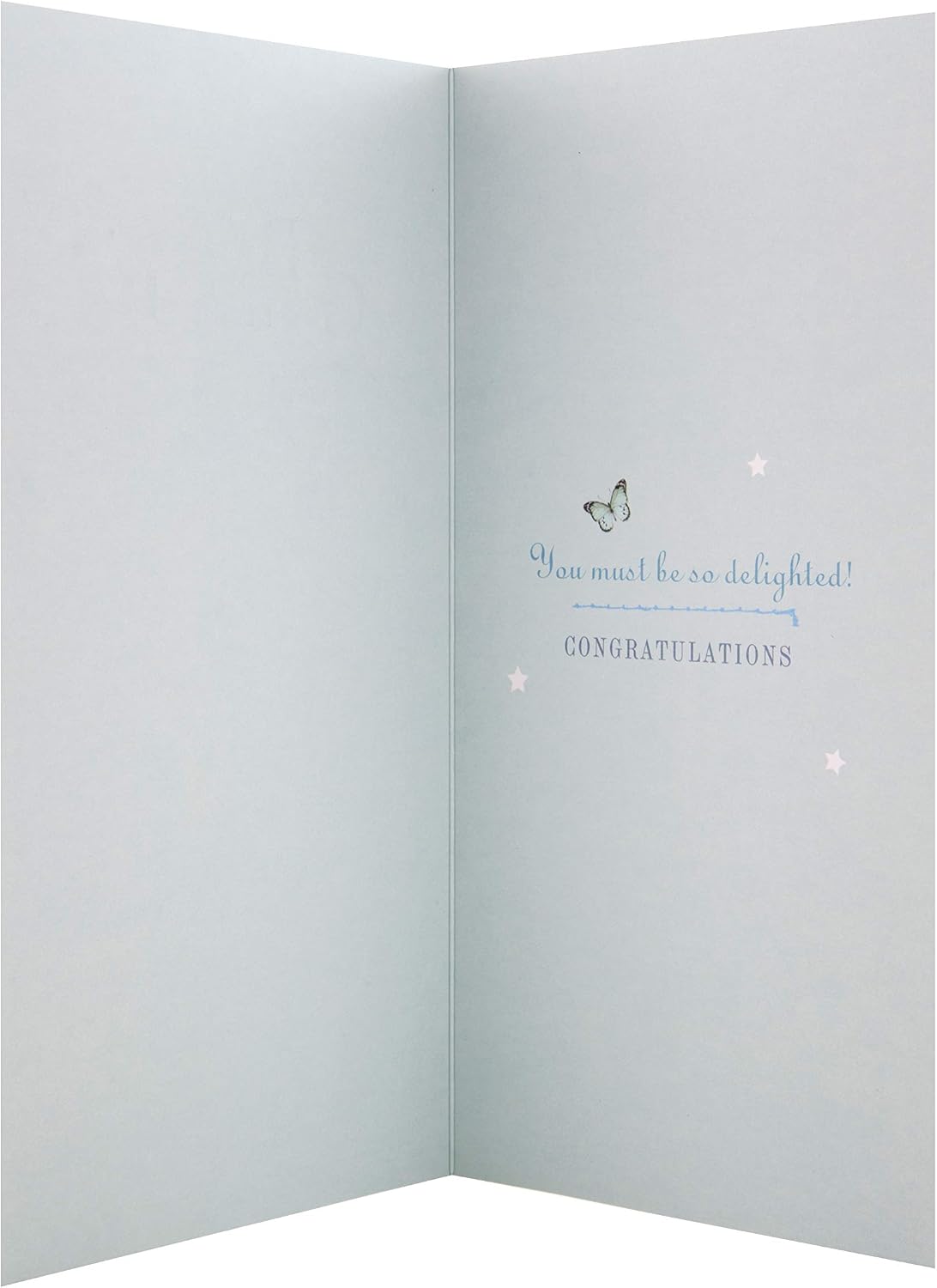 Hallmark New Grandson Birth Congratulations Card - Cute Lion Design with Blue Foil Details and Gem Attachments - Image 5