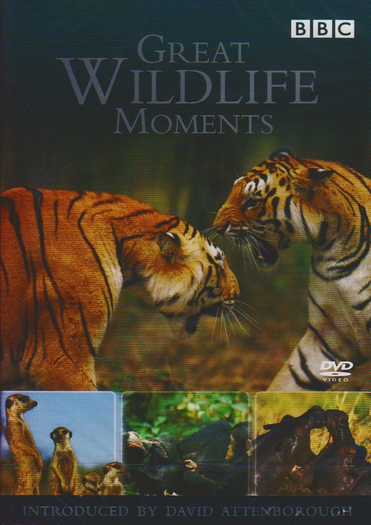 Great Wildlife Moments Introduced by David Attenborough [DVD]