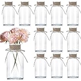 TAOZIMA Glass Flower Vases for Centerpieces Boho Cylinder Bud Vases in Bulk Mason Jars for Weddings, Parties & Vintage Home Decor (12, Clear)