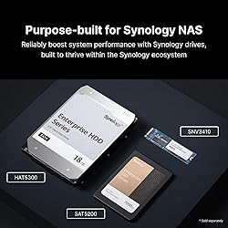 Synology 12 Bay DiskStation