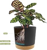QCQHDU Plant Pot 16.5cm 2 Pack Indoor Outdoor with Drainage Holes & Tray Dark view 4