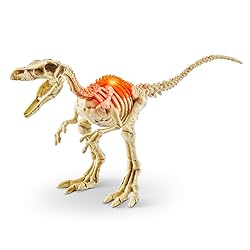 Robo Alive Mini Dino Fossil Find