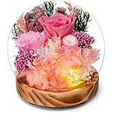 WSQCRDXW Preserved Pink Rose Arrangement with LED Light in Glass Dome,Birthday Gifts for Mothers Women Mom Grandma Girlfriend Wife,for Valentine's Day Mother's Day Christmas Thanksgiving Wedding