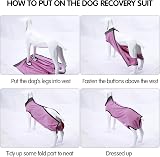 HEYWEAN Dog Recovery Suit Spay Bodysuit After Surgery for Dogs view 4