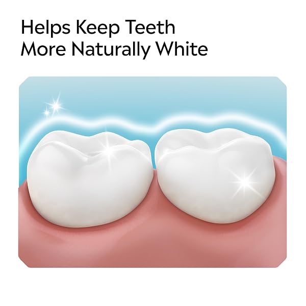 LISTERINE ESSENTIAL CARE TOOTHPASTE, BAD BREATH TREATMENT, CAVITY PREVENTION, FLUORIDE TOOTHPASTE; POWERFUL MINT FLAVOR, 4.2 OZ, 6 PACK