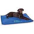 K&H Pet Products Coolin Comfort Orthopedic Dog Cooling Mat, Indoor Outdoor Cooling Beds for Large Dogs, Orthopedic Chilling Pet Bed for Homes, Crates, Yards, Porches - Large 44 X 32in Chill Blue