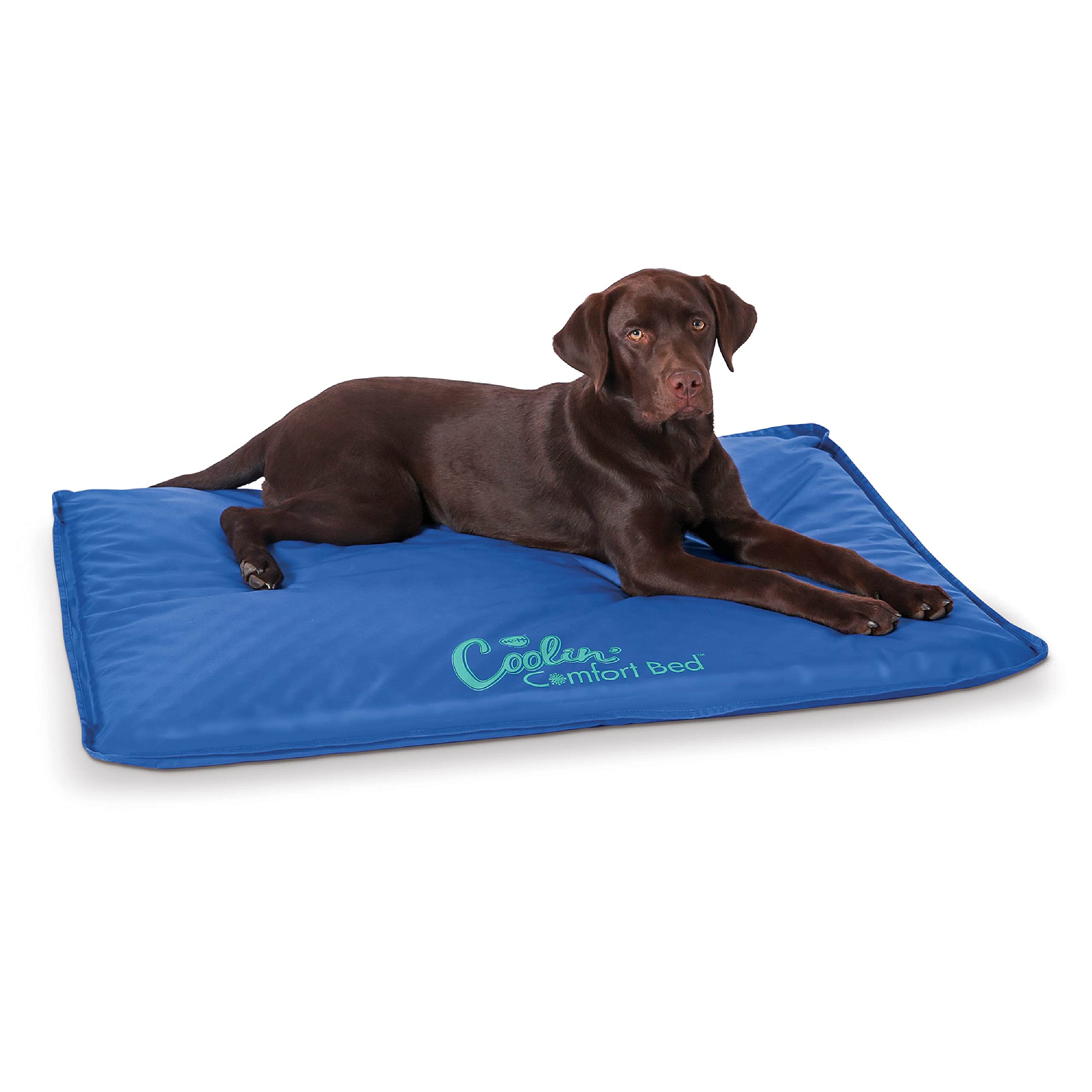 K&H Coolin' Comfort Bed for Dogs and Cats, Blue, Large