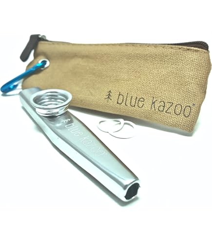 Amazon.com: GEWA 700501 gold metal Kazoo : Musical Instruments