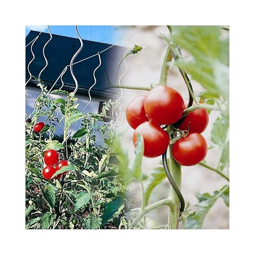 OSE - Tutor de tomatera con agujero - 5 unidades - Color gris ...