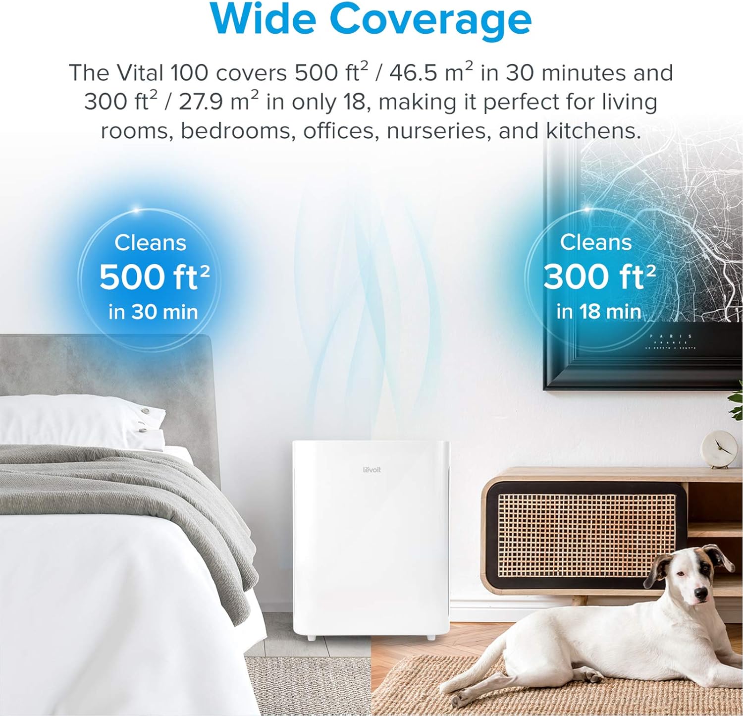 LEVOIT Air Purifier for Home Large Room, H13 True HEPA Filter Cleaner for Allergies and Pets, Smokers, Mold, Pollen, Dust, Quiet Odor Eliminators for Bedroom, Vital 100, 1-Pack, White: Home & Kitchen