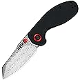 CJRB Maileah pocket knife, folding knife with 2.39'' Damascus Steel Blade, Black G10 Handle EDC Knife for Men Outdoor Survival Camping Limited Edition (J1918D)