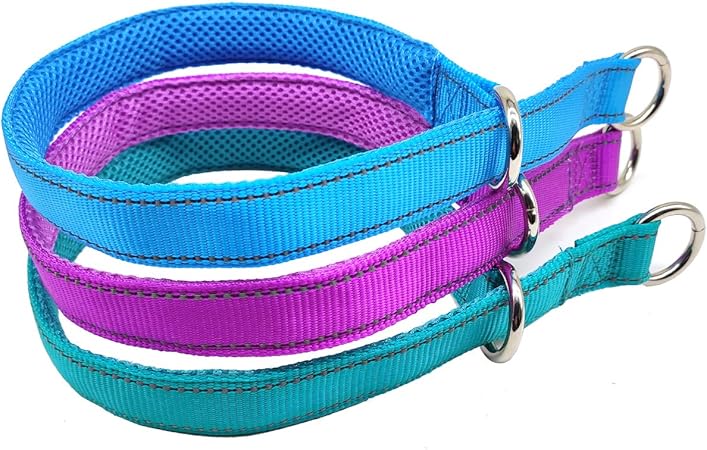 nylon dog choke collar