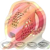 Mens Portable Honeycomb Protective Cage, Male Special Cage with 4 Sizes Rings -USXA13 (Pink, Nano)