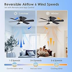 46 inch Ceiling Fans with Lights, Black Ceiling Fan