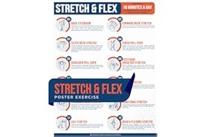 Stretch & Flex Poster Exercise for Workplace Guide Employees Employers (1)