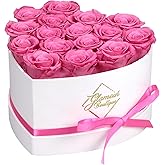 GLAMOUR BOUTIQUE Preserved Roses in a Box - Gifts for Her, Wife & Mom, Rose Flowers Forever Decor for Birthday Gift, Get Well Flower Bouquet Cased in White Box with Cover - Pink - 16 (Color-Treated)