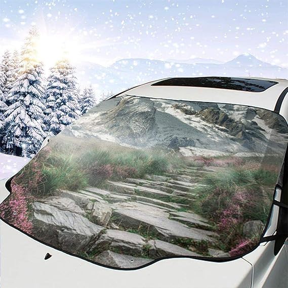 Amazon.com: Vbfxhgjhbku Windshield Snow Cover,Car Windshield Ice Snow ...