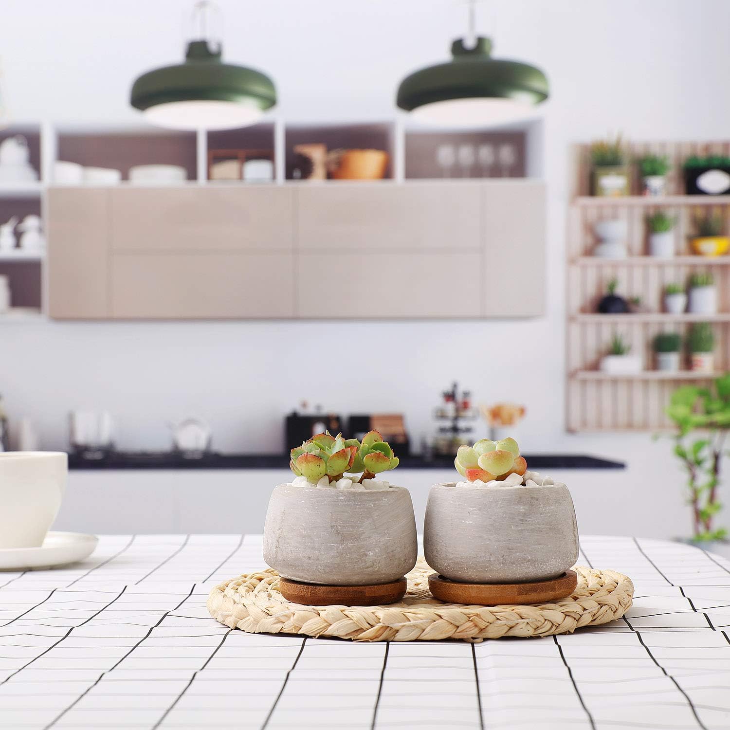 Contenants Et Accessoires Pour Plantes Jardin Paquet De 2 Cadeau Pour Famille Amis T4u 6 5cm Pots De Succulent Cactus En Ciment Serie Pots De Fleurs Jardinieres Conteneurs Boites De Fenetre Avec Plateau