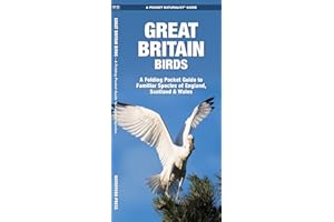 Great Britain Birds, 2nd Ed