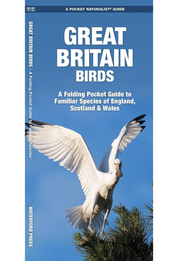 Libro Birdwatching Simon Harrap RSPB Pocket Guide To British Birds ...