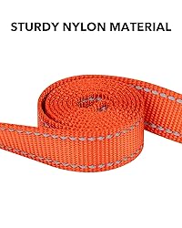Taglory Dog Leash for Medium Large