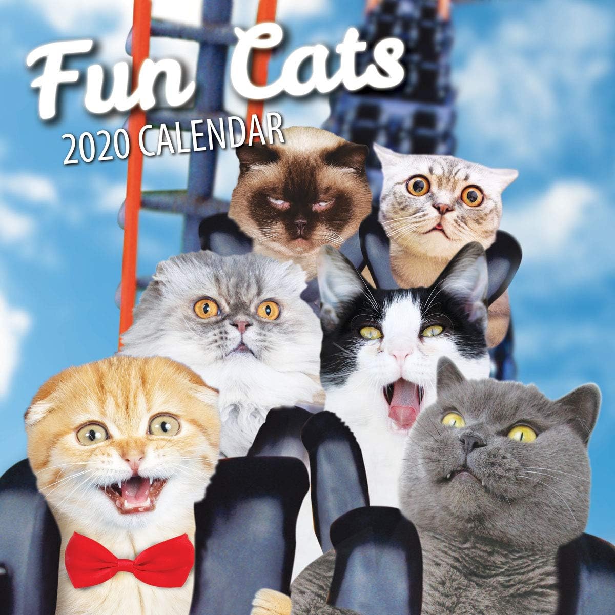 Fun Cats 2020 Cat Wall Calendar