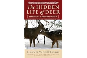 The Hidden Life of Deer: Lessons from the Natural World