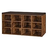DINZI LVJ Shoe Storage Bench with Cushion, Cubby