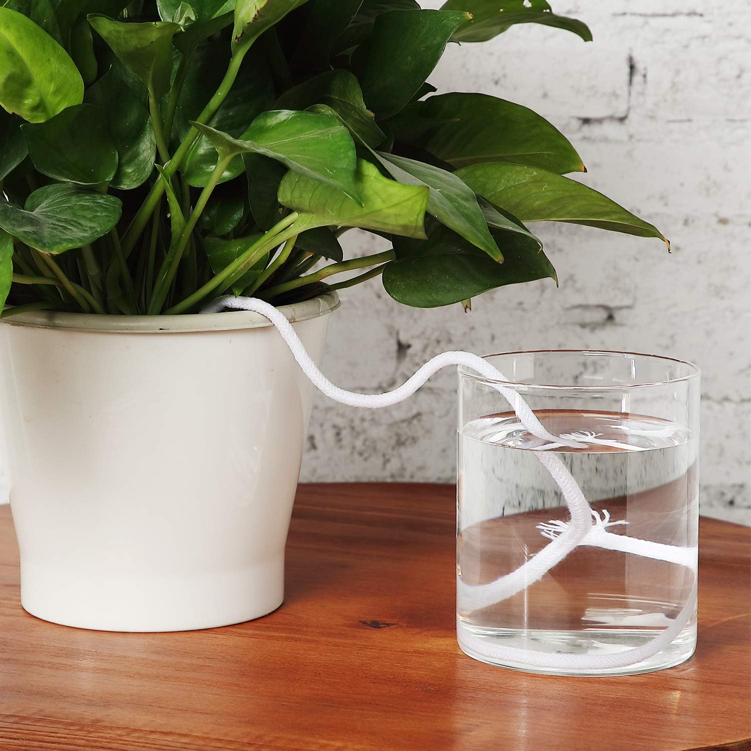 130 Feet Self Watering Wick Cord Cotton Watering Rope for Indoor Outdoor Potted Plant Self-watering Planter Pots DIY Automatic Watering Device System Potted Plant Sitter Auto Drip Irrigation Waterer - Image 4