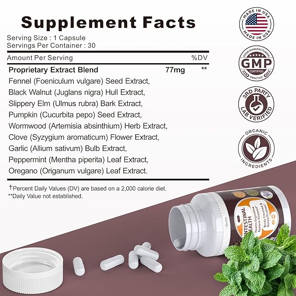 VIBVITA GUT HEALTH CLEANSE DETOX CAPSULES – INTESTINAL CLEANER WITH WORMWOOD, BLACK WALNUT, GARLIC BULB, CLOVE SUPPORT COLON CLEANSER & DIGESTION SYSTEM FOR WOMEN & MEN, 30 CAPS