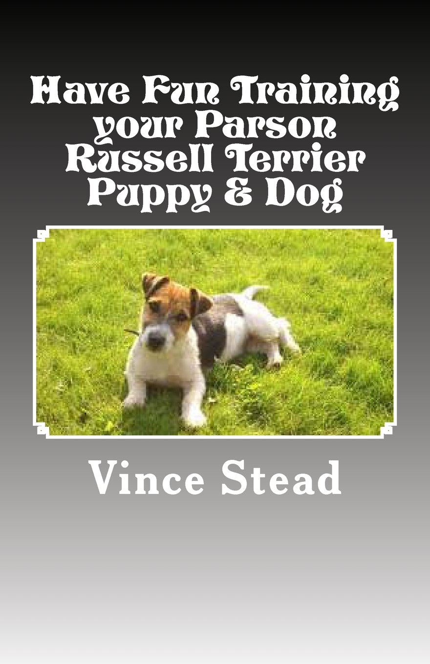 parson russell terrier training