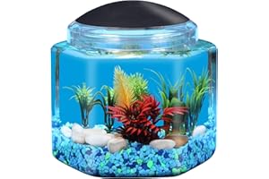 Koller Products 1 Gallon Hex BettaTank - LED Lighting