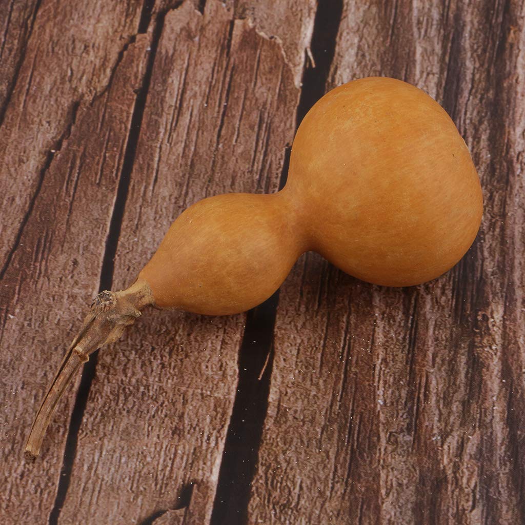 Home Decor Dried Flowers Prettyia Natural Dry Gourd Bottle Gourd 5