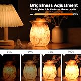 Caldarax E12 25W Wax Warmer Bulbs 230V Warm White 2700K Dimmable G50 50mm view 3