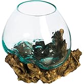 Cape Craftsmen 10" Hand-Blown Blue Tinted Bubble Glass On Natural Teak Driftwood Terrarium Kit | Home D&eacute;cor Indoor Planter with Stand | Pot for Succulent and Plants
