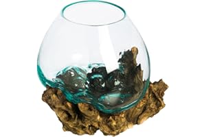 Cape Craftsmen 10" H Hand-Blown Blue Tinted Bubble Glass On Natural Teak Driftwood Terrarium | Home Décor Indoor Planter with Stand | Pot for Succulent and Plants