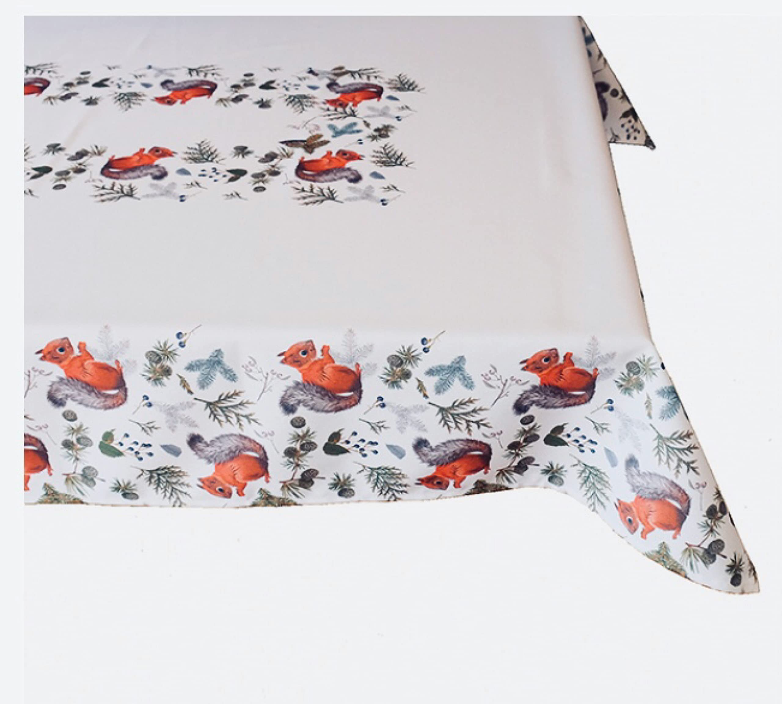 Tablecloth Table Cloth Rectangular Autumn Cute Squirrel with Pine Branches (130 x 170 cm)